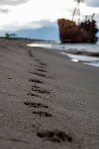 Peleponnes - Strand und Schiffswrack