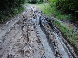 Rumänien - Spuren der Schlammfahrt