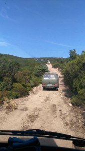 Sardinien VW T3 auf Feldweg